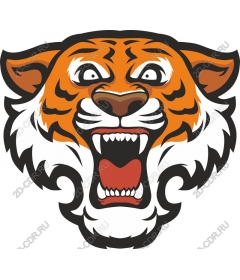 Tiger roar