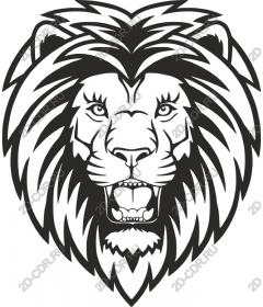  A majestic lion's head
