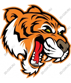  Fierce roaring tiger head