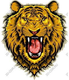  Roaring tiger head