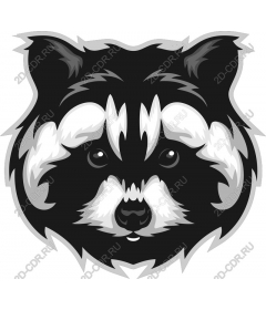 Work with the face of a raccoon