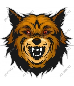 Head ferocious wolf