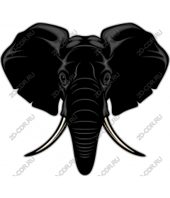  Black elephant