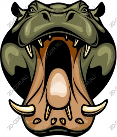 Roaring Hippo