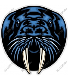  Walrus