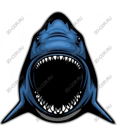  Ferocious Shark