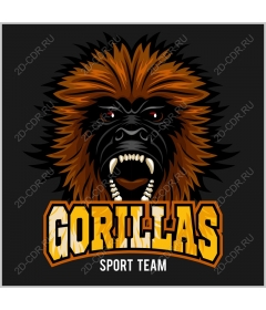  Sports team "Gorilla"