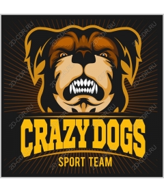  Sports team Crazy Dogs