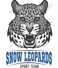 Snow Leopard running in sports teams