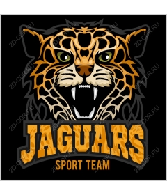  Sports team Jaguars