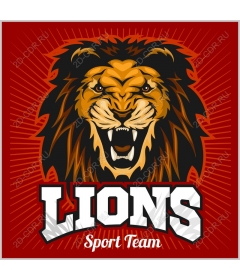  Ferocious lion for sport teams
