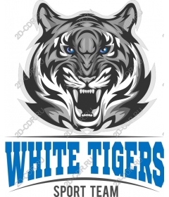  Sports team "White tigers"