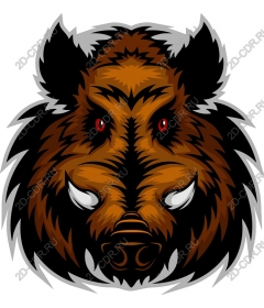  Ferocious wild boar