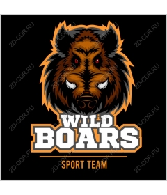  Sports team "Wild boar"