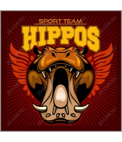  Sports team Fierce Hippo