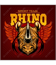  Sports team Rhino