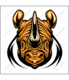 The power of a Rhino
