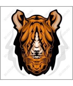  Stunning tiger head
