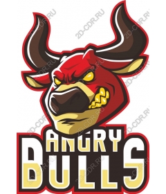  Angry Bulls