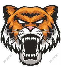 Head of a ferocious tiger