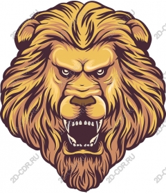  A majestic lion's head