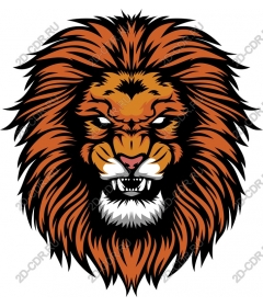  Ferocious lion head