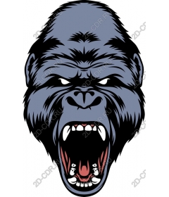 Head ferocious gorilla Revada
