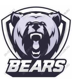 Roaring Bear