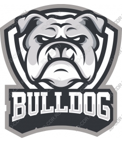  Ferocious bulldog