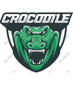  Crocodile
