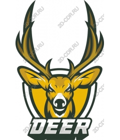  A bold deer
