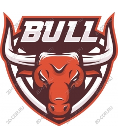 Bull