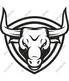  Powerful head of a bull