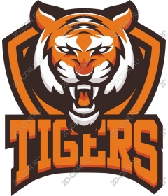  Roaring tiger