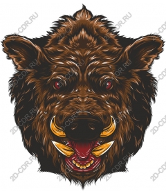  Ferocious boar's head