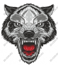  Roaring wolf head