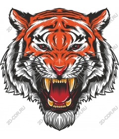  The majestic roaring tiger head