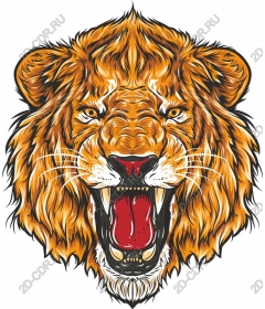  Ferocious lion head
