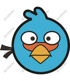  Charming Blue Bird and