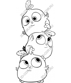 Three funny birds