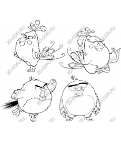  A collection of whimsical birds