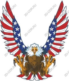  Patriotic eagle