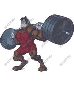Muscular gorilla lift weights