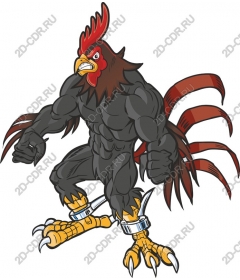  Beefy Cock