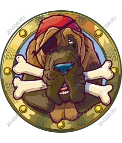  Pirate adventure dog