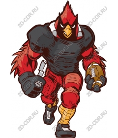  Sports Fice Red Bird