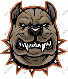  Ferocious bulldog