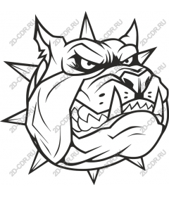  Ferocious bulldog