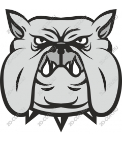 Head ferocious bulldog