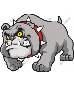  Ferocious bulldog